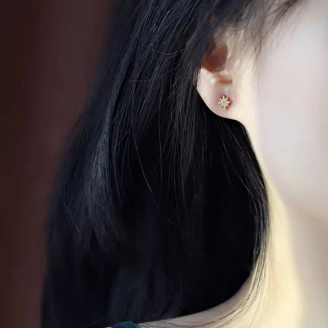 Star dust Stud